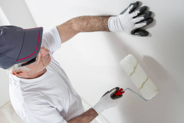 Reliable Romeo, MI Dry wall and painting Solutions